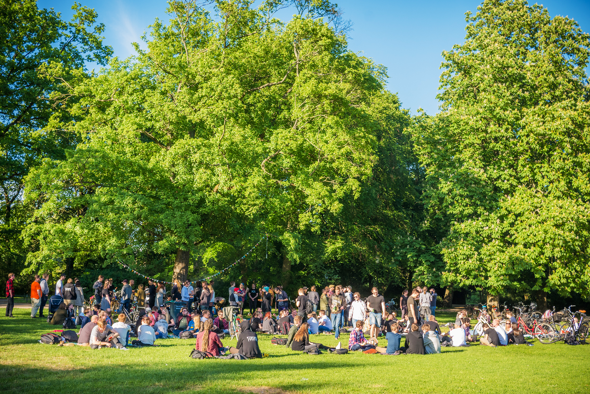 Game developers socializing in the park